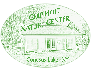 Chip Holt Nature Center Conesus Lake New York